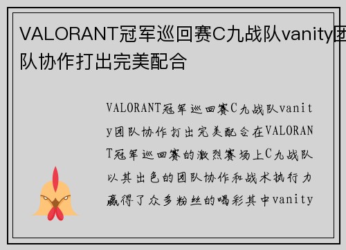 VALORANT冠军巡回赛C九战队vanity团队协作打出完美配合