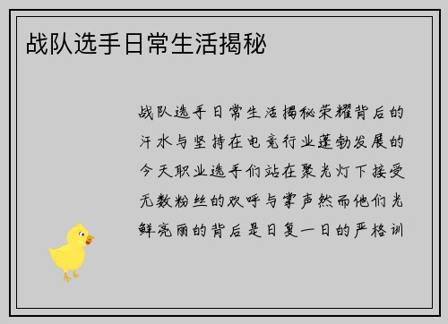 战队选手日常生活揭秘