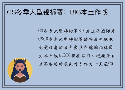 CS冬季大型锦标赛：BIG本土作战
