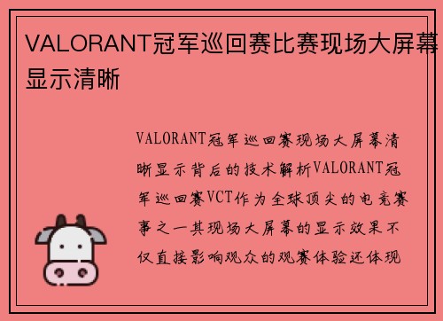 VALORANT冠军巡回赛比赛现场大屏幕显示清晰